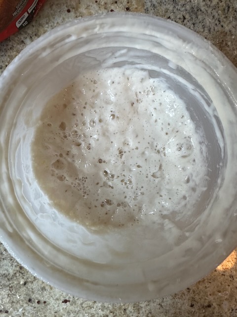 An active sourdough starter