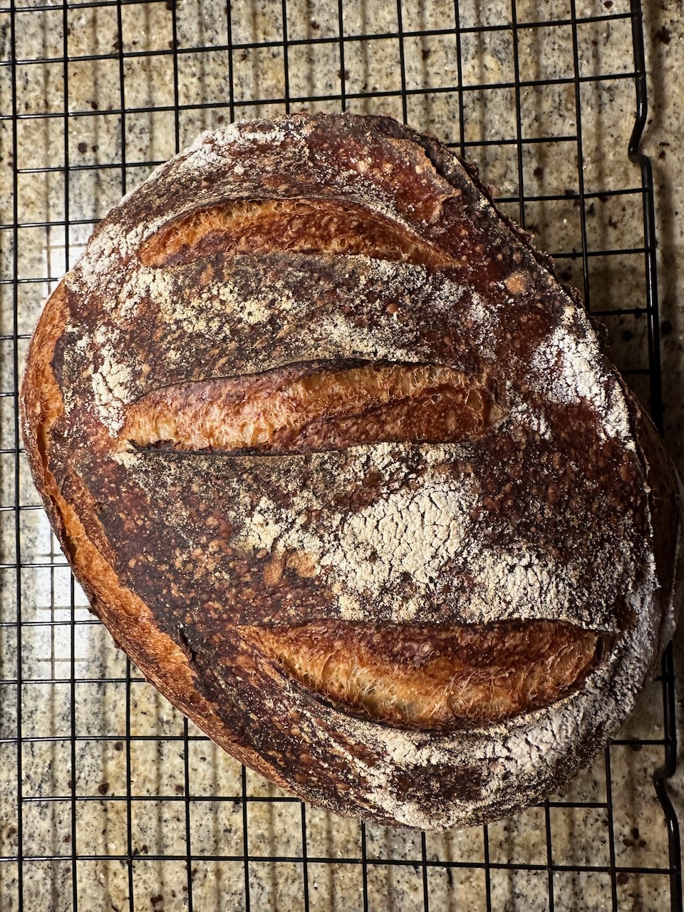 A loaf of sourdough I recently baked